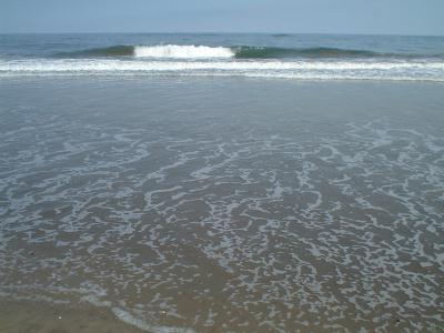 �g�ł���