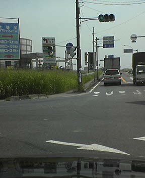 ��c�����O�̌����_
