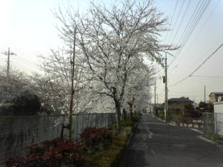 DSC00119.JPG