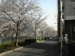 DSC00122.JPG